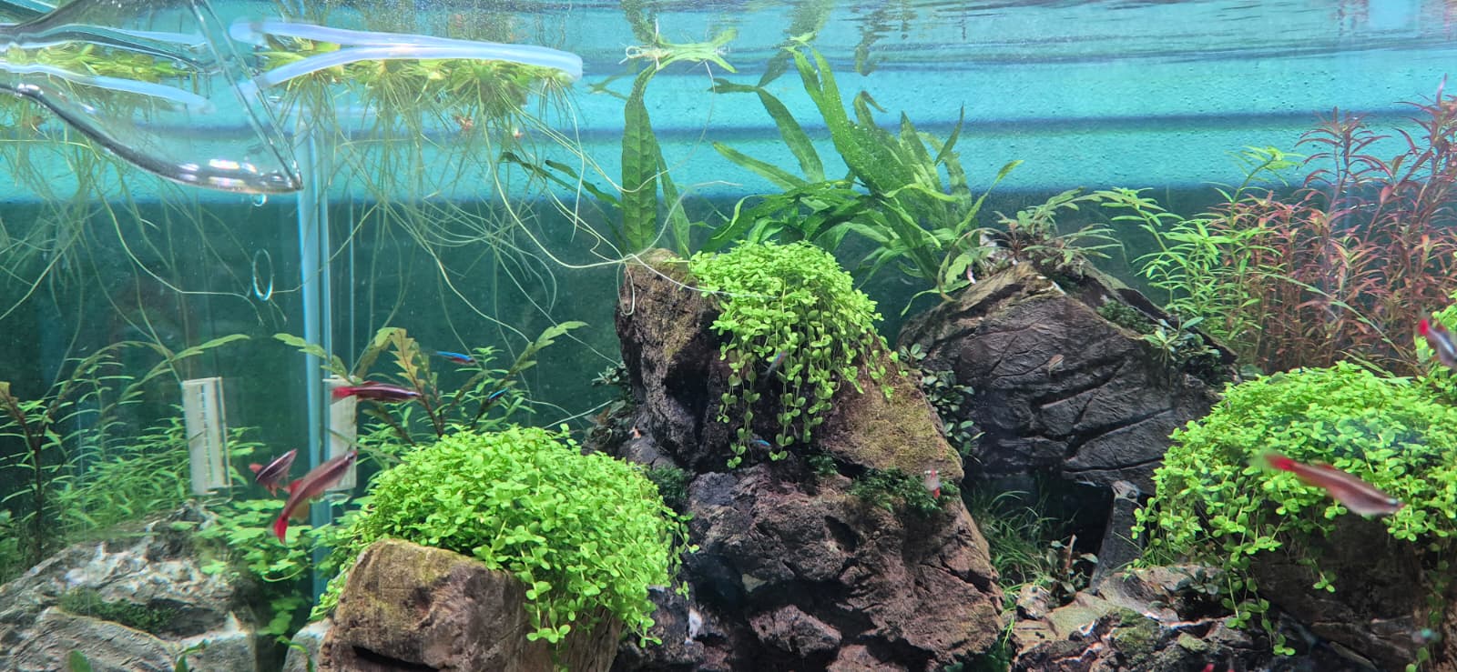 WhatsApp Image 2026-04-19 at 19.26.35.jpeg