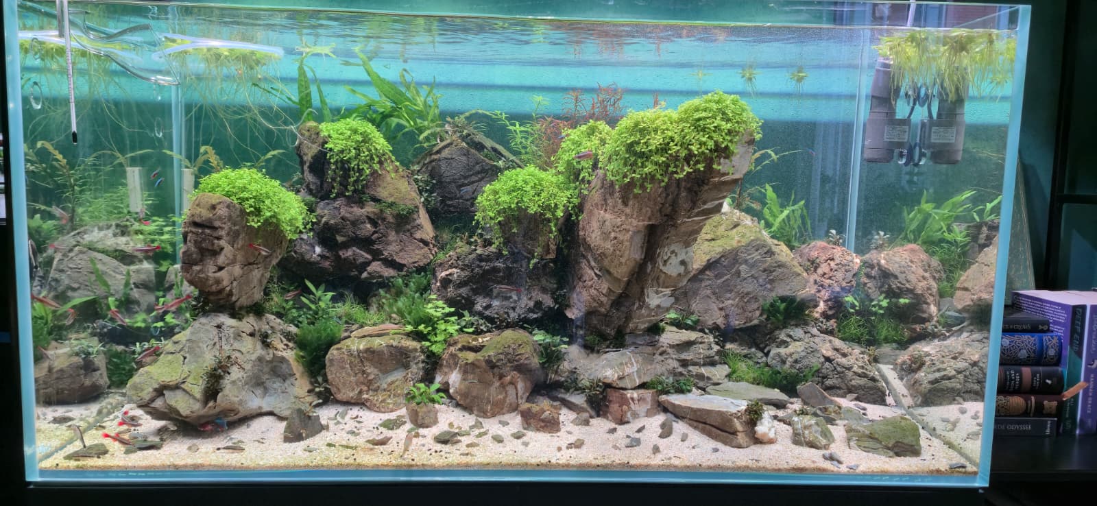 WhatsApp Image 2026-04-19 at 19.26.36(1).jpeg