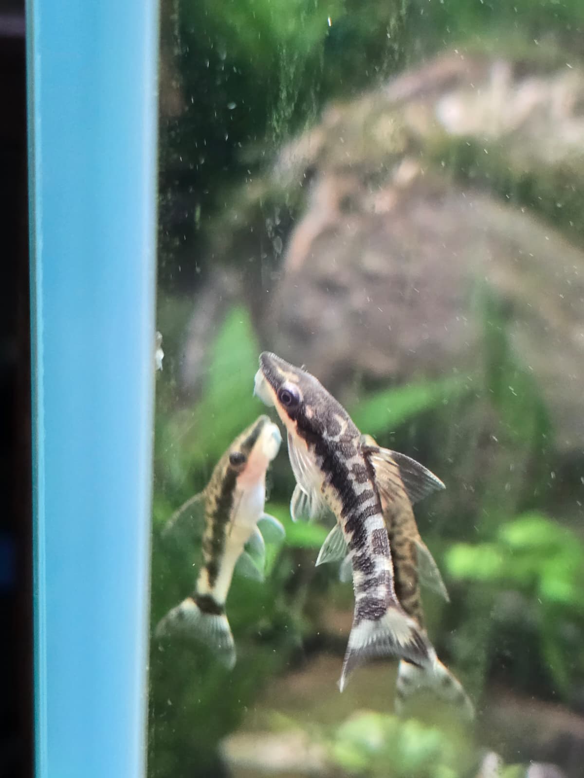 WhatsApp Image 2026-04-27 at 15.59.44.jpeg