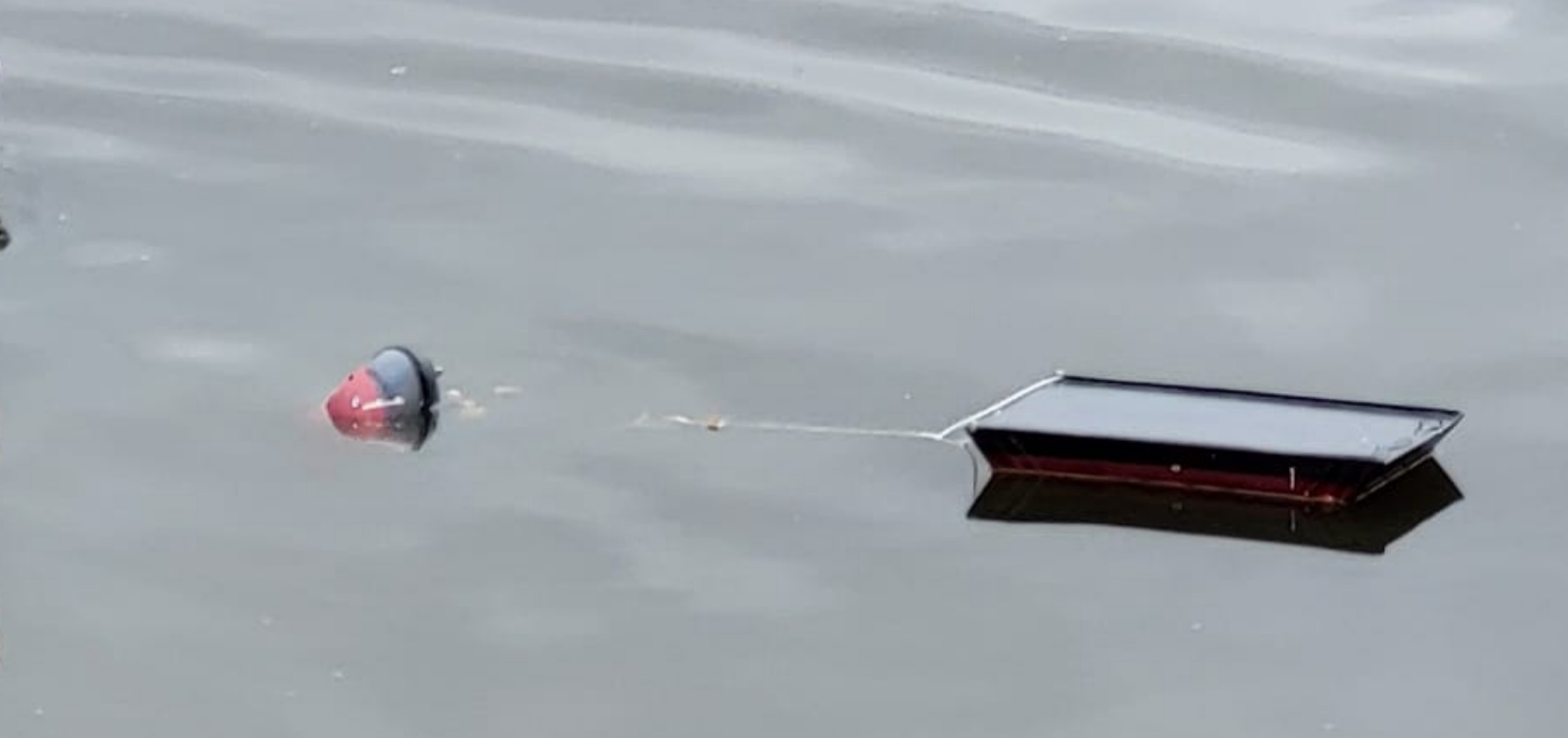 WhatsApp Image 2026-06-07 at 17.05.34.jpeg