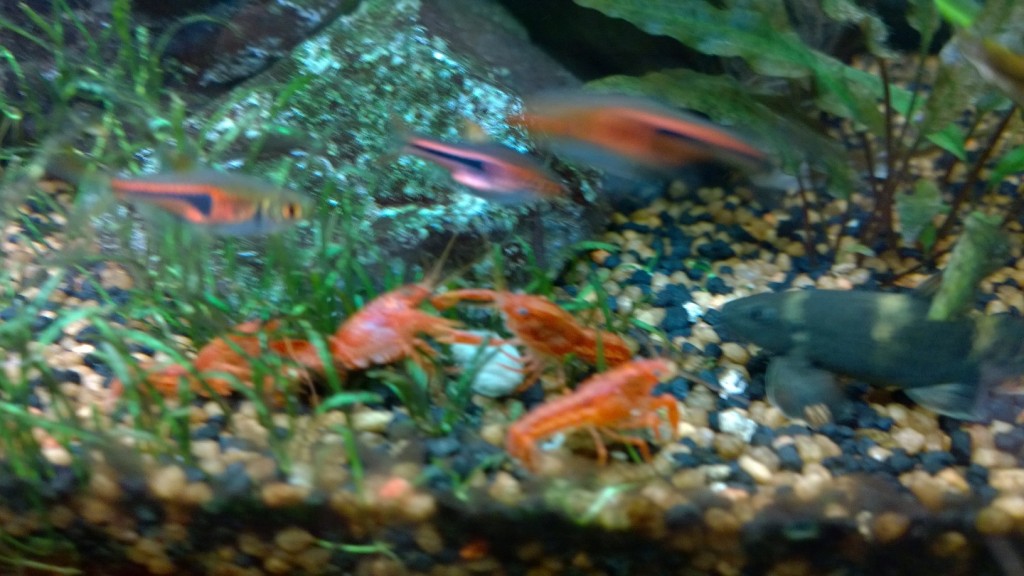WP_20141209_18_01_55_Pro_zpsb76ffbe9.jpg
