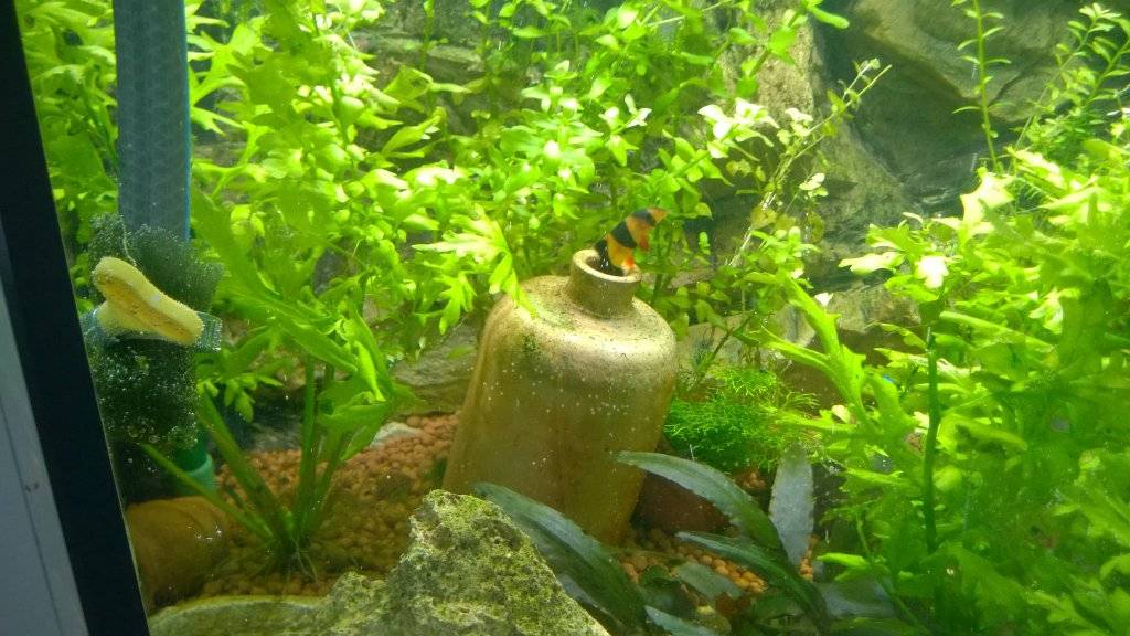 WP_20160707_002.jpg