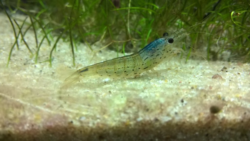 WP_20160903_07_29_10_Pro.jpg