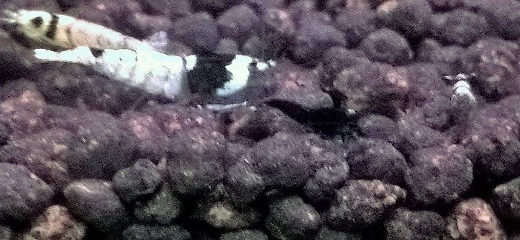 WP_20161124_09_29_38_Pro (4).jpg