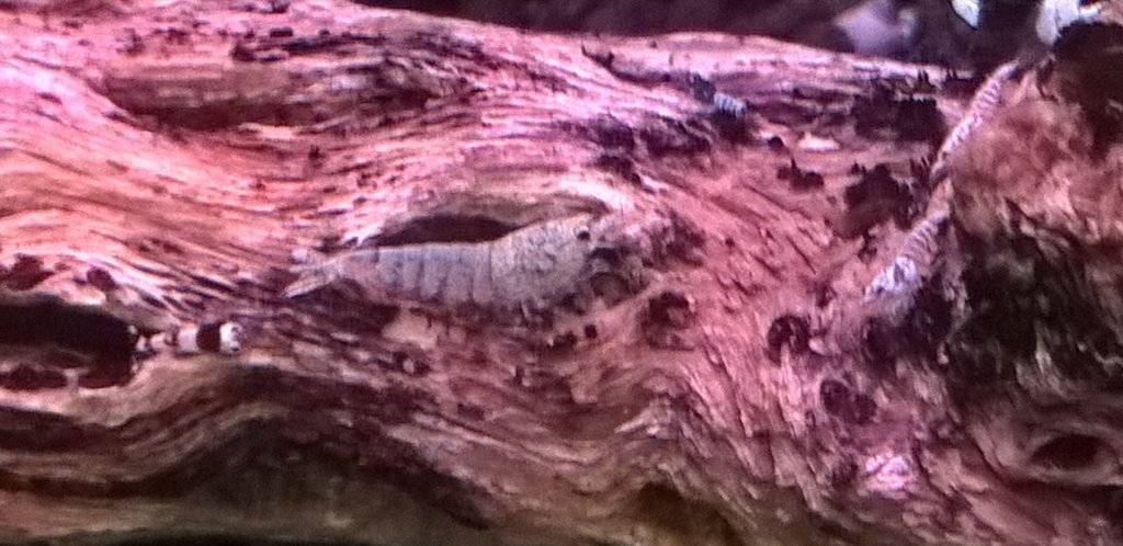 WP_20161124_09_40_35_Pro (2).jpg