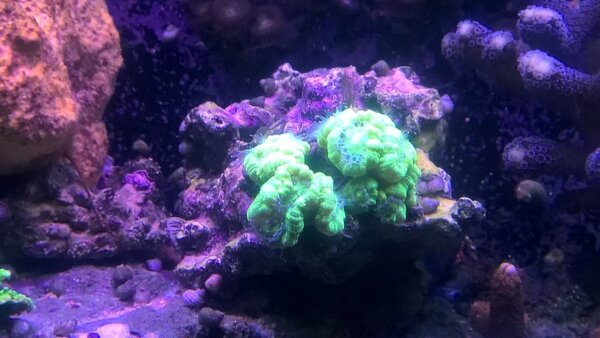 WP_20171112_22_19_59_Pro.jpg