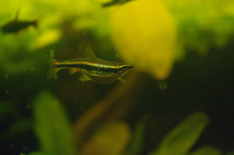 XeJhxoeaTIsFFFSlAHXyKKPqNByvVGjR.jpeg XeJhxoeaTIsFFFSlAHXyKKPqNByvVGjR.jpeg