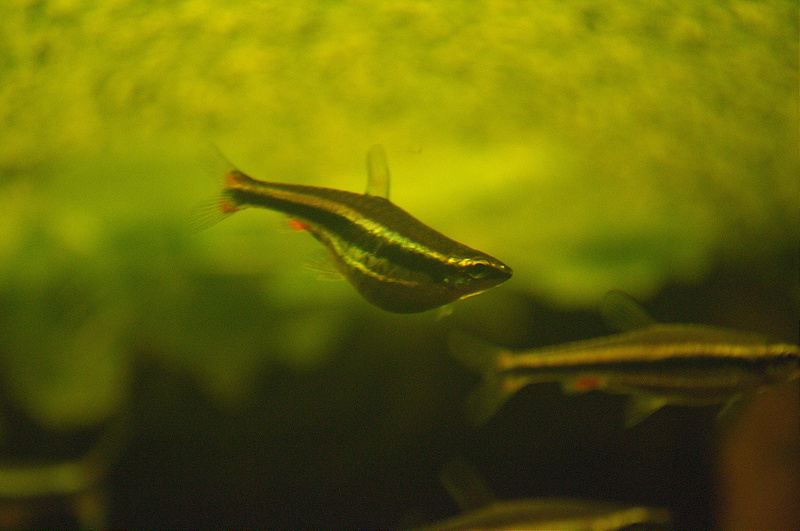 XeJhxoeaTIsFFFSlAHXyKKPqNByvVGjR.jpeg XeJhxoeaTIsFFFSlAHXyKKPqNByvVGjR.jpeg