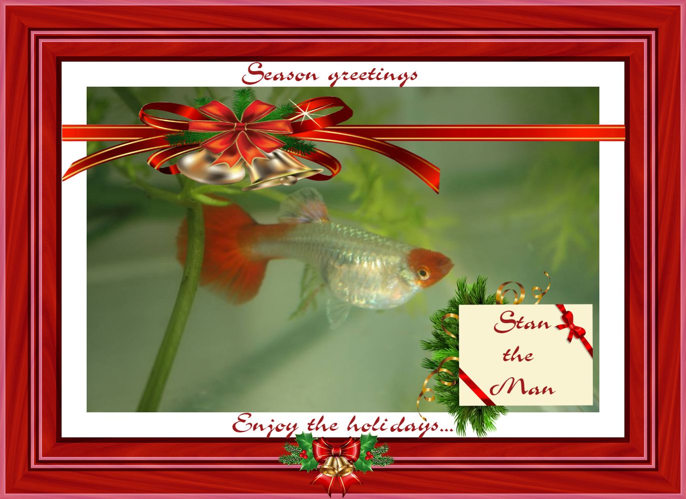 xmascard.jpg