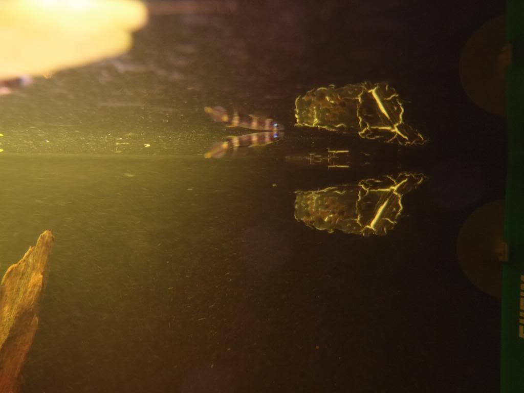 Xo6igYCHr3dmWsEV6qeFAyC4k4bXZfSc.jpeg