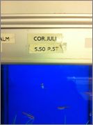 xtyVGEpPj0GN7abOpsT-h2Zpwy_OeDgL.jpeg xtyVGEpPj0GN7abOpsT-h2Zpwy_OeDgL.jpeg