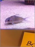 xtyVGEpPj0GN7abOpsT-h2Zpwy_OeDgL.jpeg xtyVGEpPj0GN7abOpsT-h2Zpwy_OeDgL.jpeg