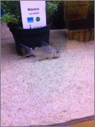 xtyVGEpPj0GN7abOpsT-h2Zpwy_OeDgL.jpeg xtyVGEpPj0GN7abOpsT-h2Zpwy_OeDgL.jpeg