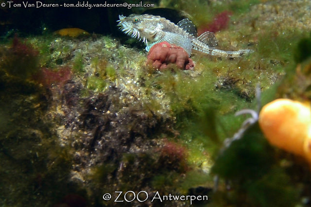 -y0q5BnRN8F_jrcC9ddB5fEf55dH1aI4.jpeg -y0q5BnRN8F_jrcC9ddB5fEf55dH1aI4.jpeg