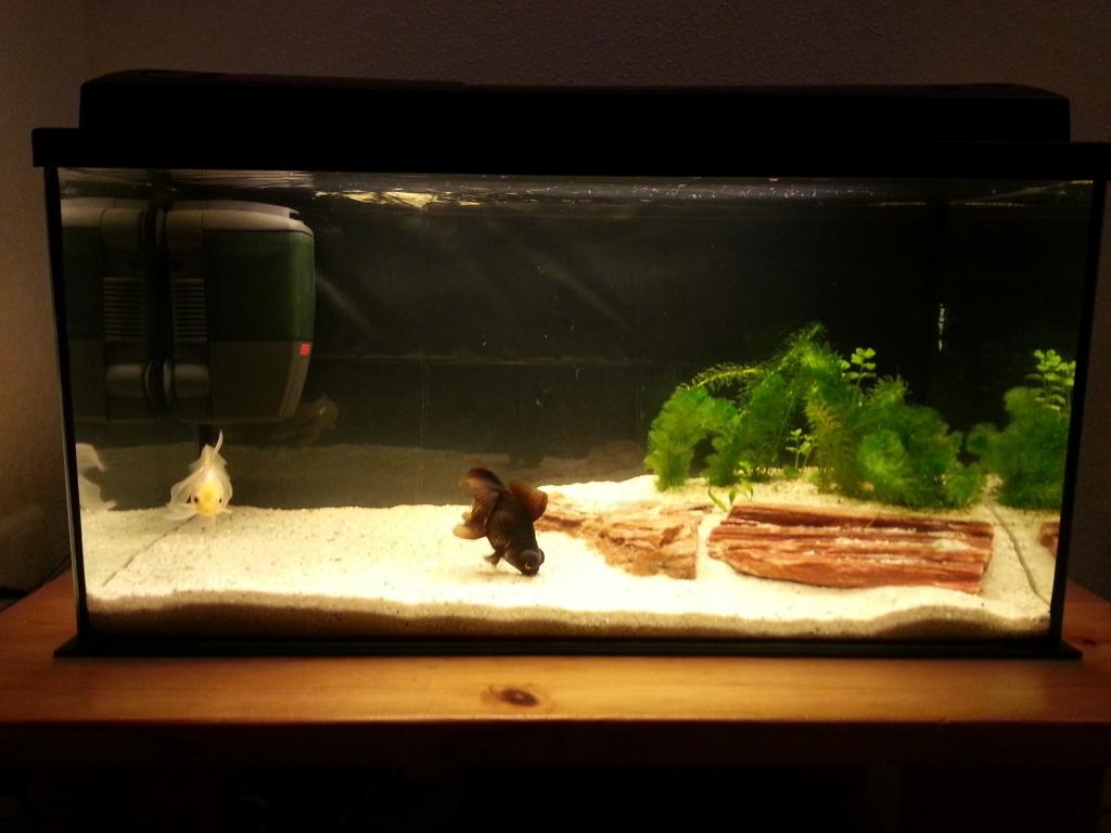 zmTvXSMMorIrFMC4zMZ6RbDoLFNeGOgd.jpeg zmTvXSMMorIrFMC4zMZ6RbDoLFNeGOgd.jpeg