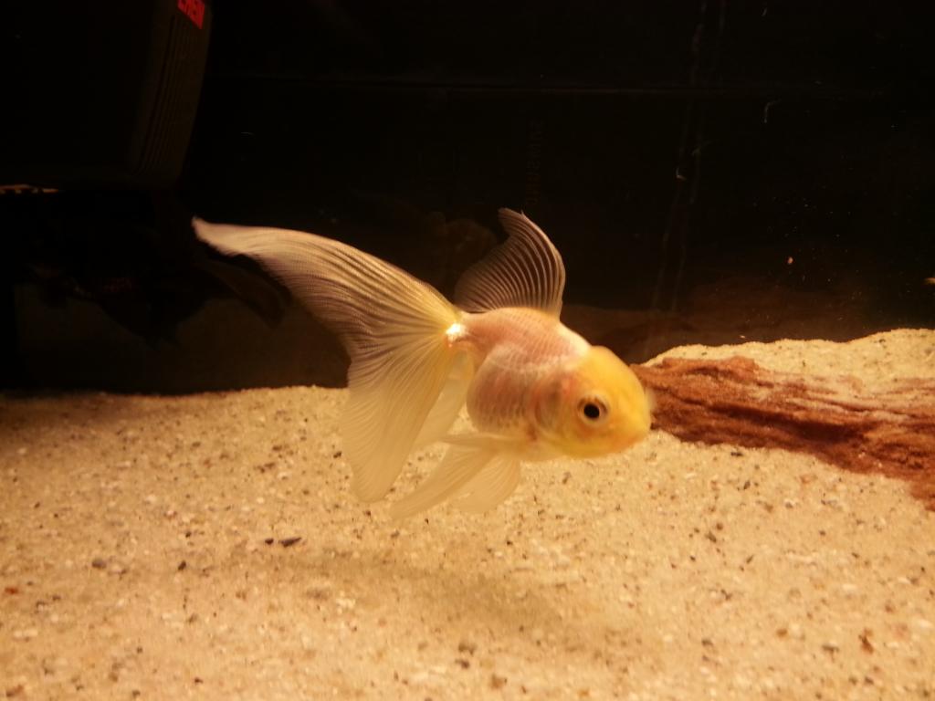 zmTvXSMMorIrFMC4zMZ6RbDoLFNeGOgd.jpeg zmTvXSMMorIrFMC4zMZ6RbDoLFNeGOgd.jpeg