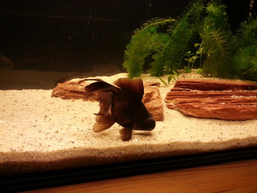 zmTvXSMMorIrFMC4zMZ6RbDoLFNeGOgd.jpeg zmTvXSMMorIrFMC4zMZ6RbDoLFNeGOgd.jpeg