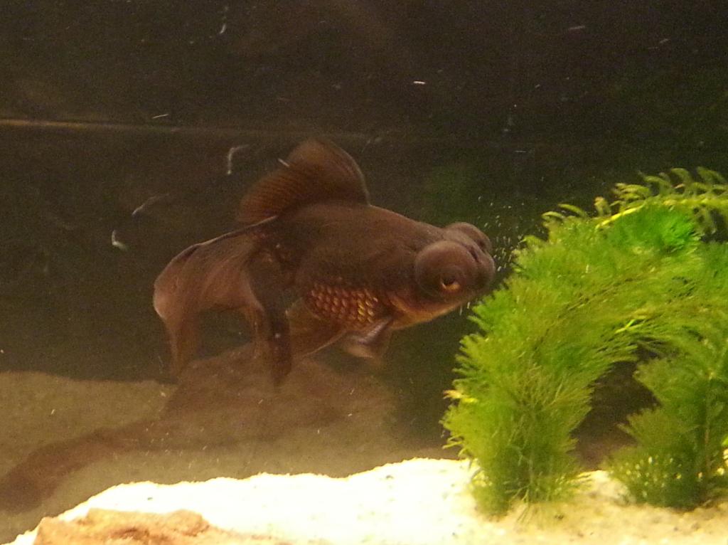 zmTvXSMMorIrFMC4zMZ6RbDoLFNeGOgd.jpeg zmTvXSMMorIrFMC4zMZ6RbDoLFNeGOgd.jpeg