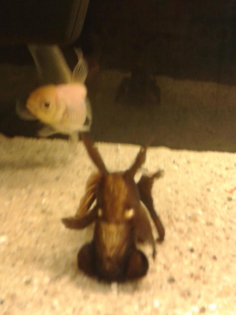 zmTvXSMMorIrFMC4zMZ6RbDoLFNeGOgd.jpeg zmTvXSMMorIrFMC4zMZ6RbDoLFNeGOgd.jpeg