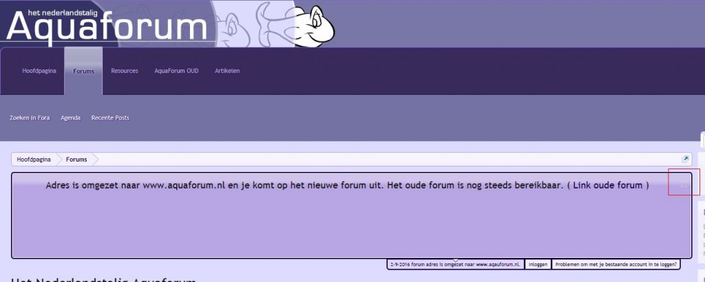 Zonder muis.jpg