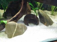 WhatsApp Image 2018-10-18 at 16.46.46.jpeg