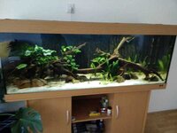 WhatsApp Image 2018-10-18 at 16.46.47.jpeg