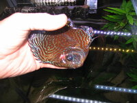 IMG_5540.JPG