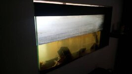 20190805_093828 (Klein).jpg