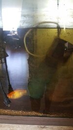 20190805_103454 (Klein).jpg