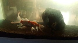 20190805_103521 (Klein).jpg