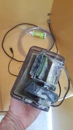 20190805_111130 (Klein).jpg