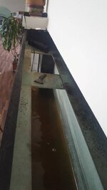 20190805_111546 (Klein).jpg
