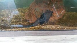 20190806_101523.jpg