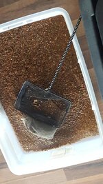 20190806_101543.jpg