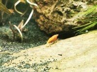 IMG_20190831_145209.jpg