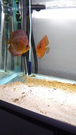 WhatsApp Image 2019-07-13 at 11.45.00.jpeg