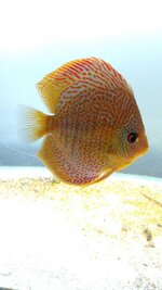 WhatsApp Image 2019-07-14 at 19.53.12.jpeg