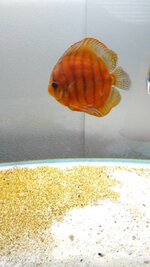 WhatsApp Image 2019-07-14 at 19.53.24.jpeg