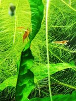 IMG_20190903_201613.jpg