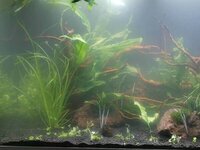 IMG_20190810_171944.jpg