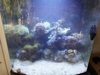 20190616_132228.jpg