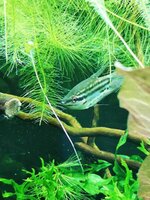 IMG_20190906_212101.jpg