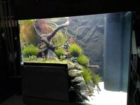 IMG_20190812_205142.jpg IMG_20190812_205142.jpg