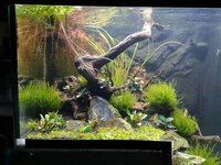 IMG_20190812_205148.jpg IMG_20190812_205148.jpg