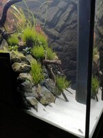 IMG_20190812_205155.jpg IMG_20190812_205155.jpg