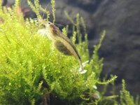 IMG_20190812_191146.jpg IMG_20190812_191146.jpg