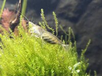 IMG_20190812_191150.jpg IMG_20190812_191150.jpg