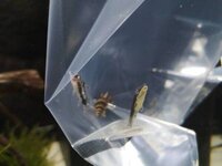 IMG_20190812_195054.jpg IMG_20190812_195054.jpg