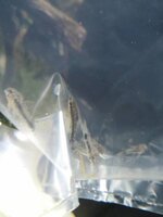 IMG_20190812_203129.jpg IMG_20190812_203129.jpg