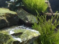 IMG_20190812_204731.jpg IMG_20190812_204731.jpg